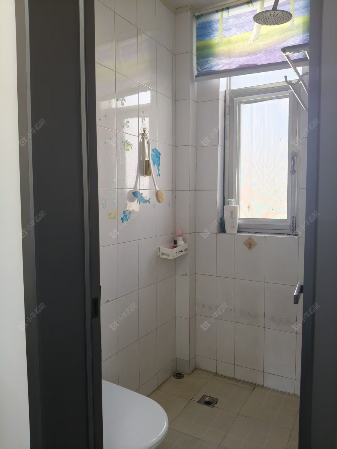 常州虹桥新村在租房源_小牛看房