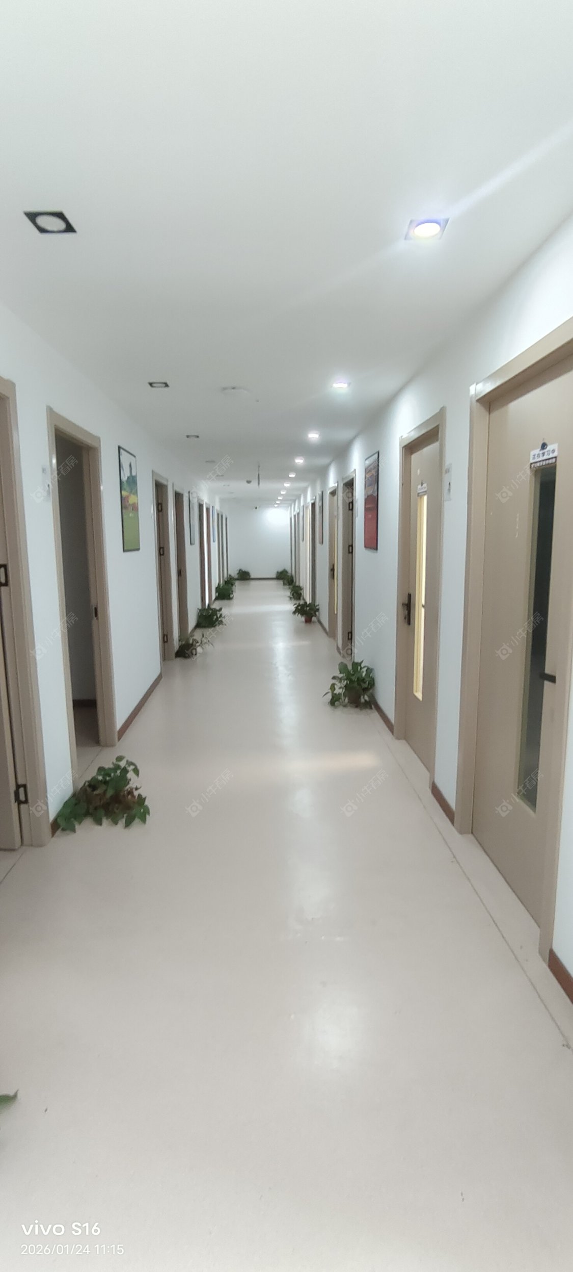 常州太湖中路在租房源_小牛看房