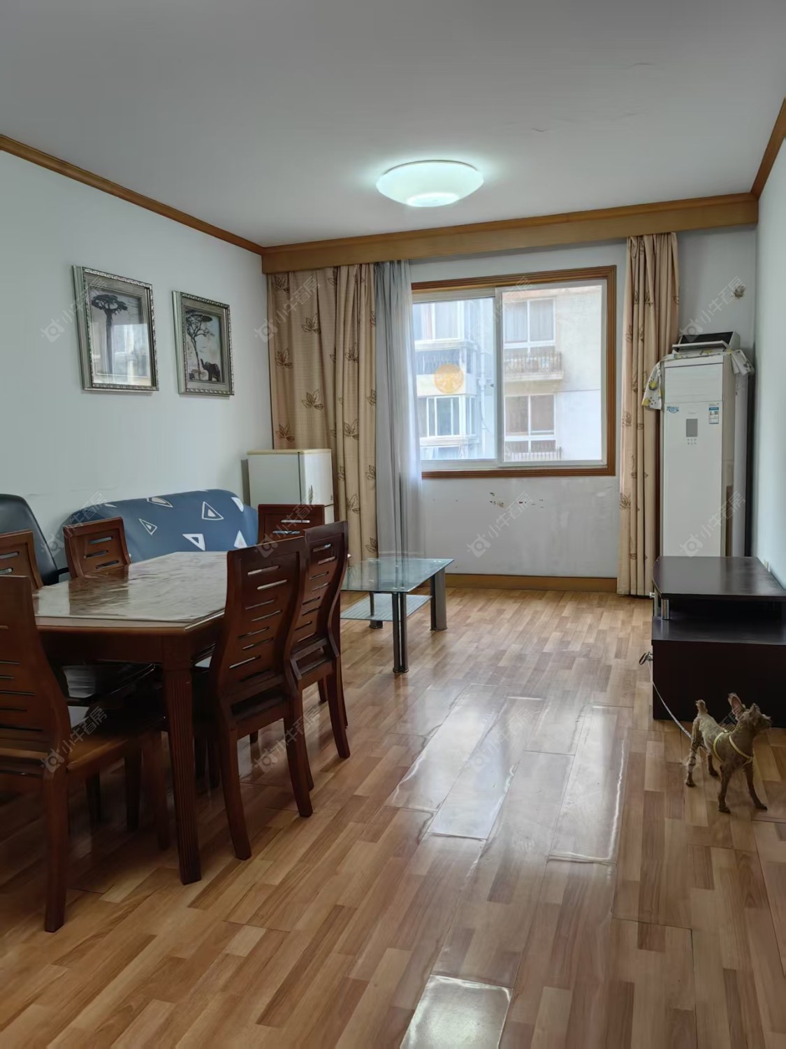 常州藻江花园一期在租房源_小牛看房