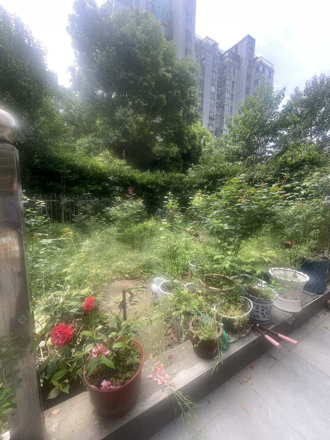 常州奥林匹克花园在租房源户型图_小牛看房