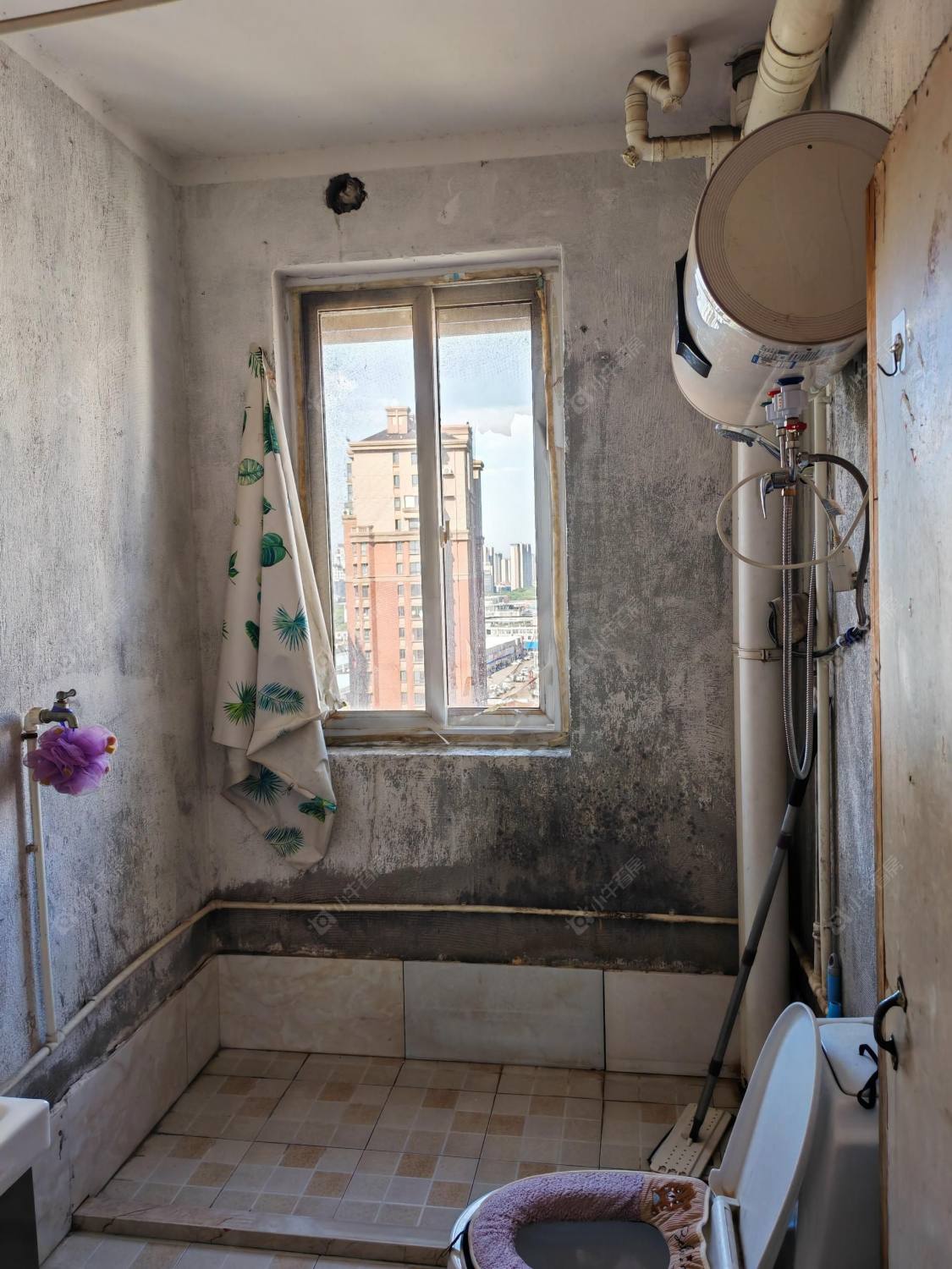 香树湾名苑房源室内图 常州香树湾名苑在租房源室内图_小牛看房