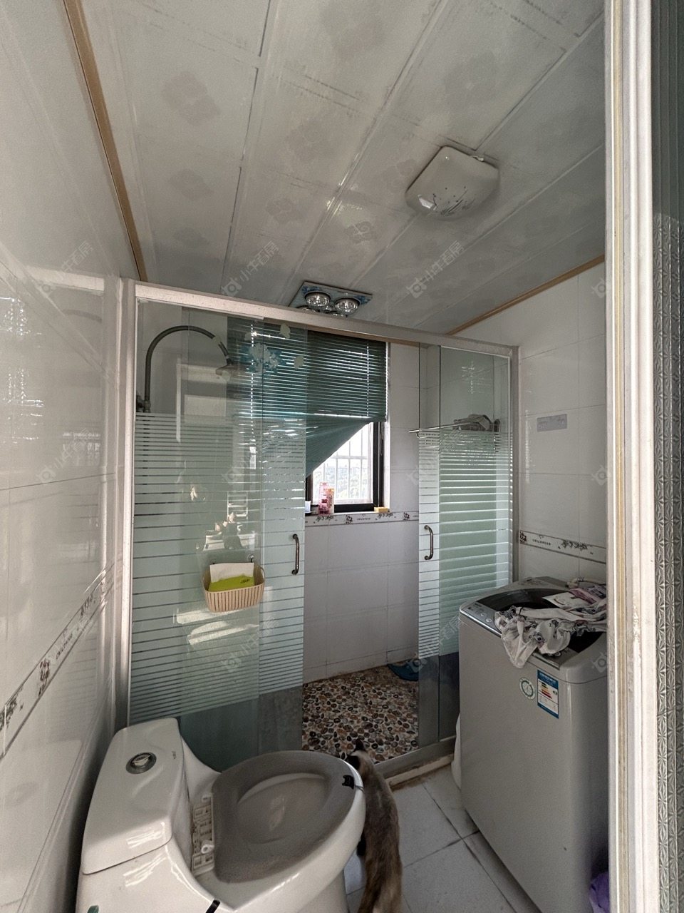 常州金玉苑在租房源室内图_小牛看房