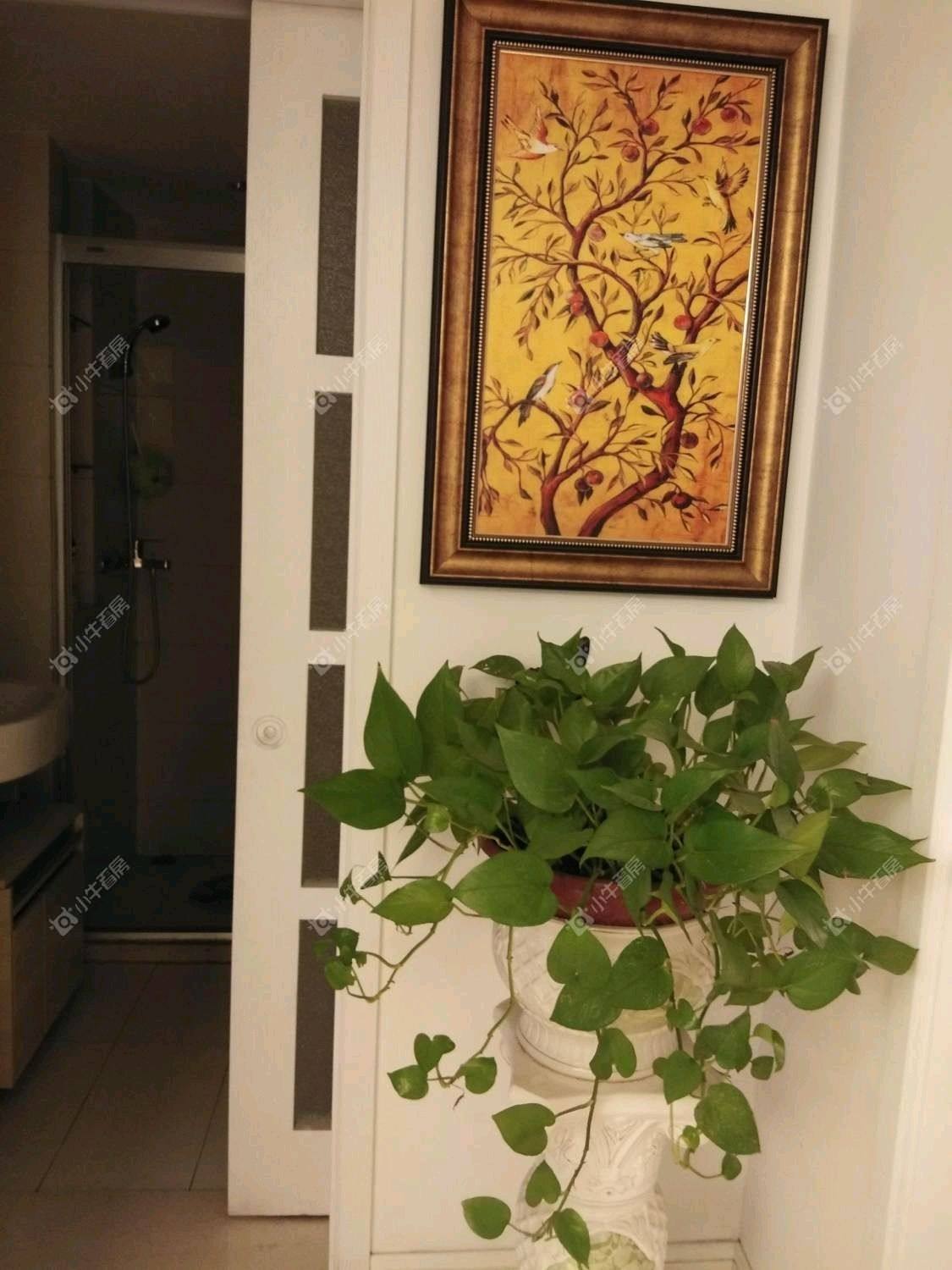 常州香溢紫郡一期租房_香溢紫郡一期3室2厅房源出租