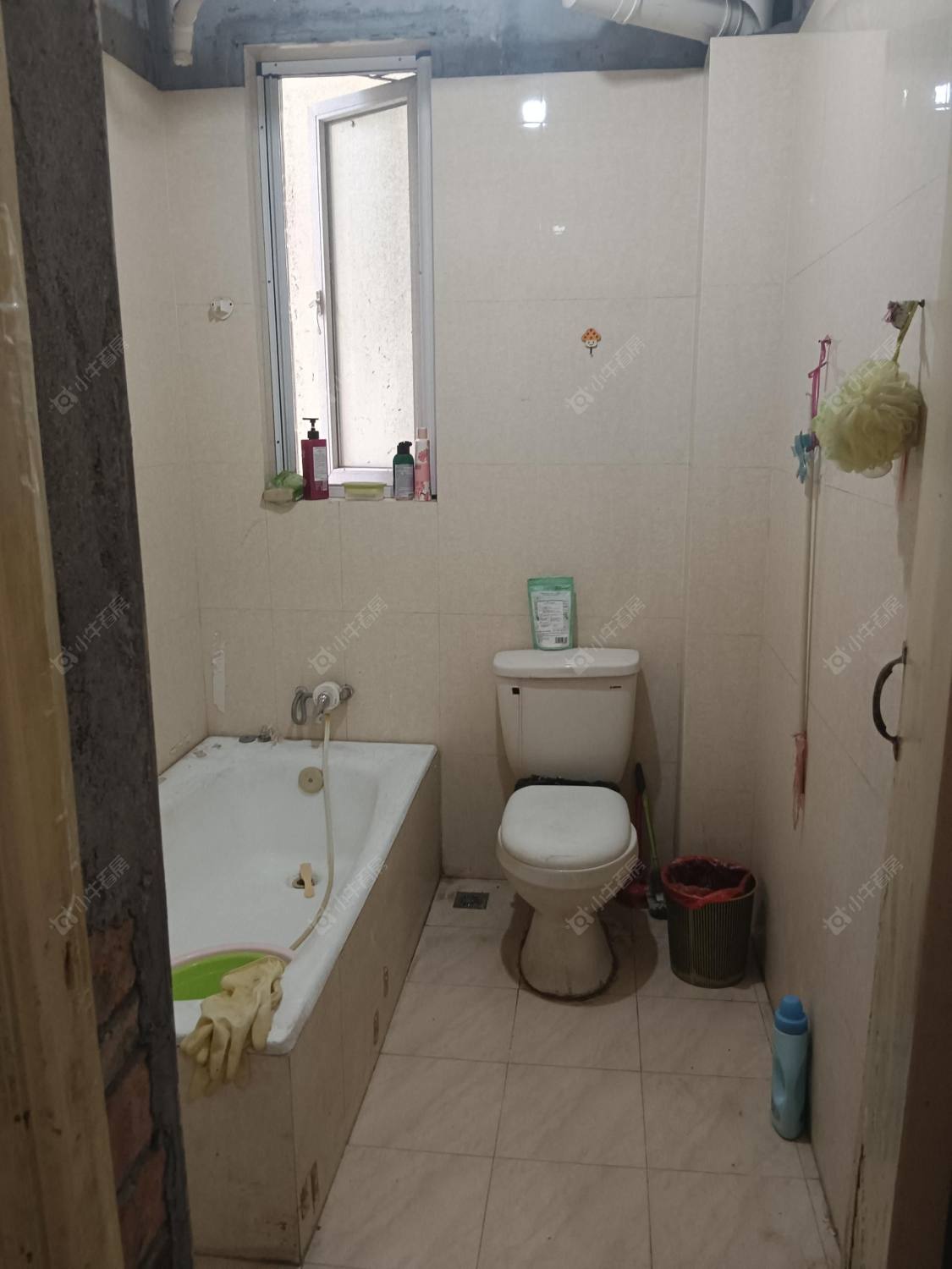 常州百馨北北苑在租房源室内图_小牛看房