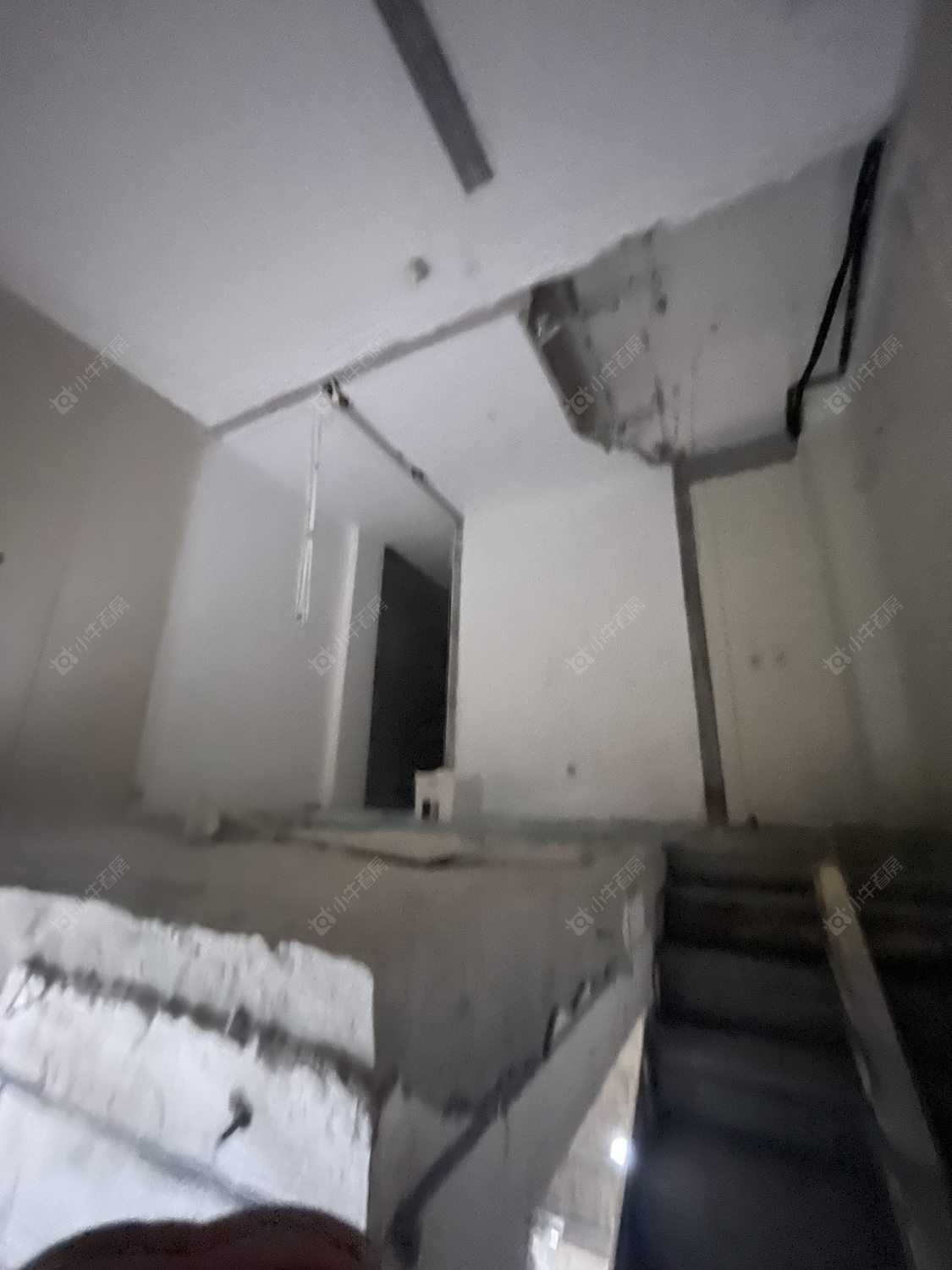 常州龙城金茂府西区在租房源室内图_小牛看房