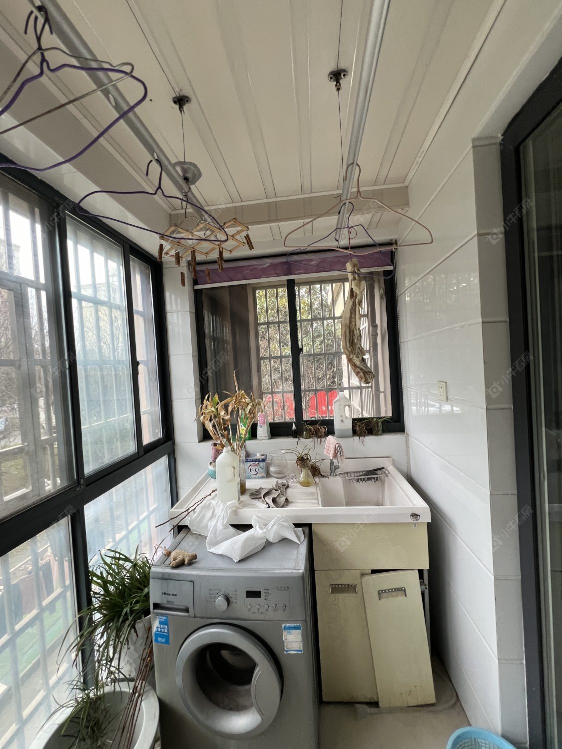 常州新景花苑二期在租房源室内图_小牛看房