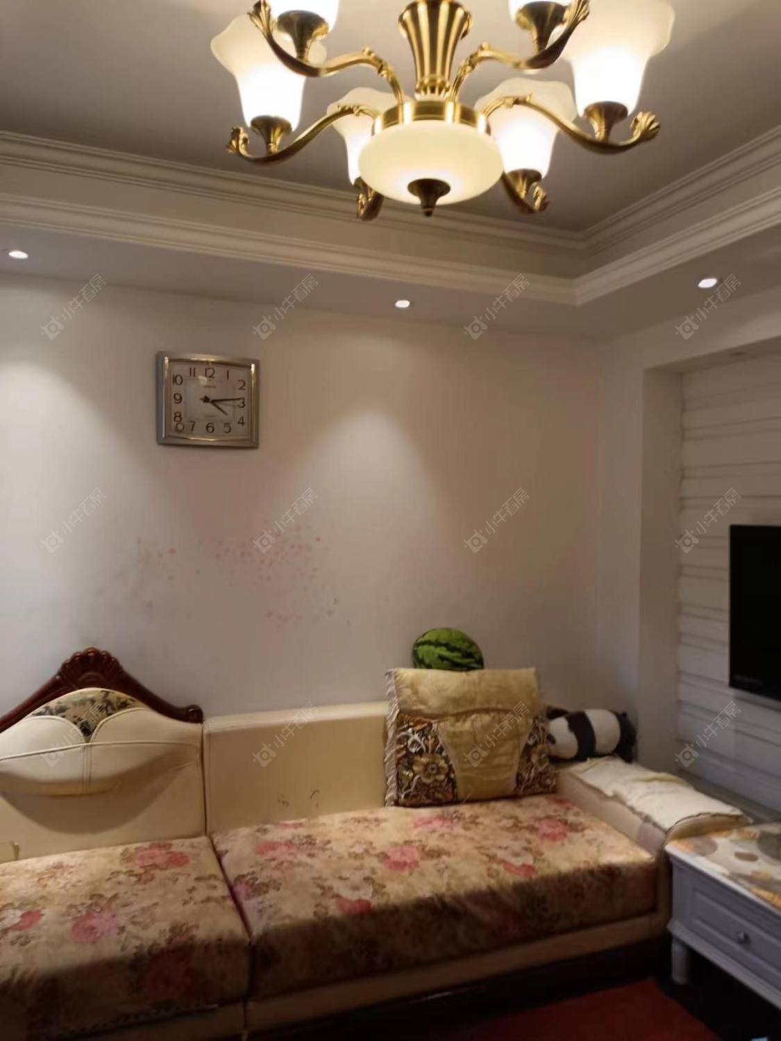 常州雅筑公寓在租房源户型图_小牛看房