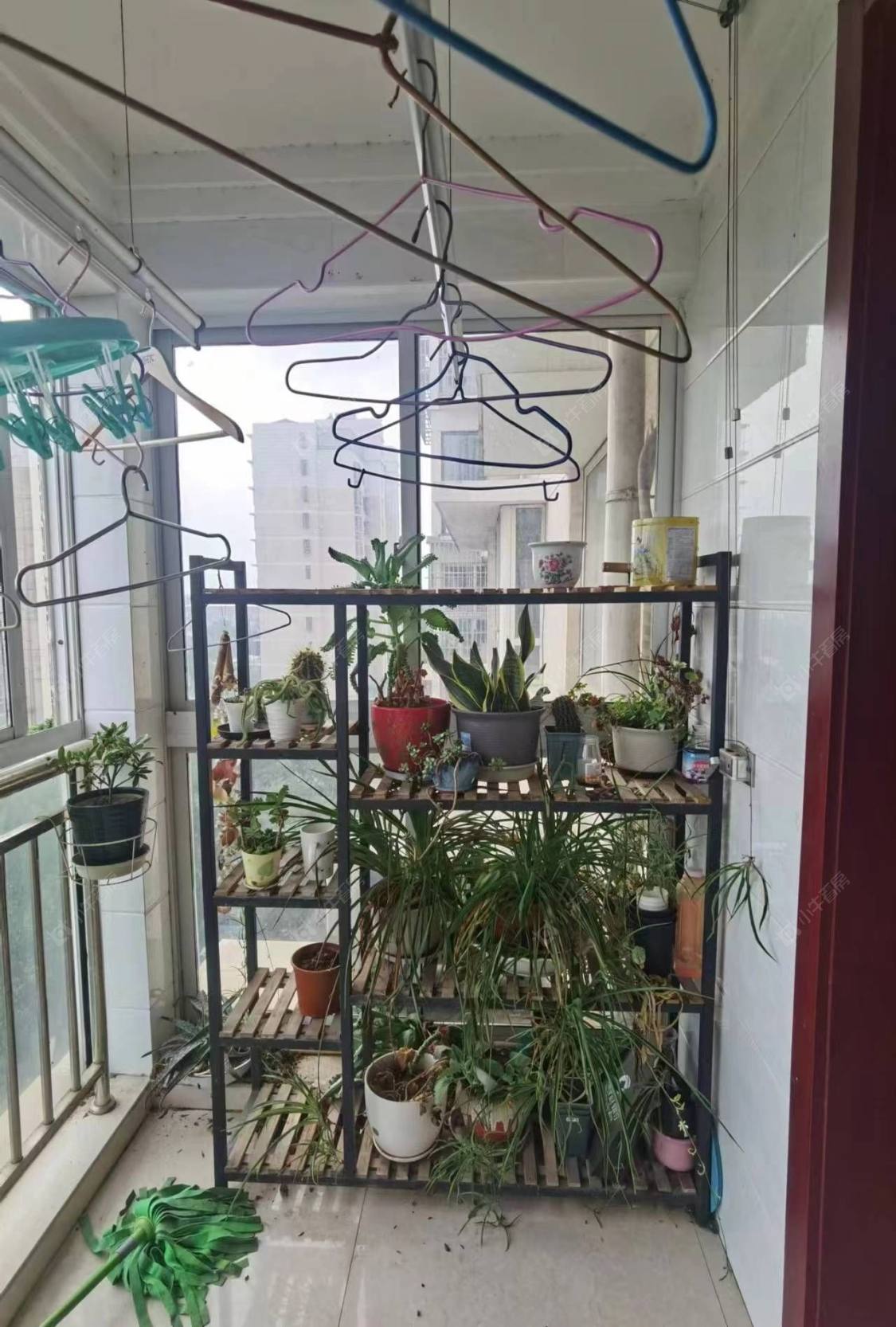 常州半岛小区在租房源室内图_小牛看房