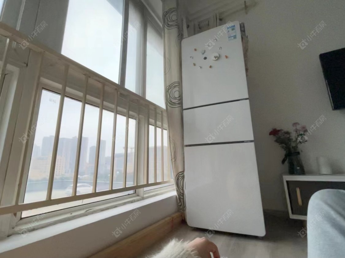 常州莱蒙城铂晶在租房源_小牛看房