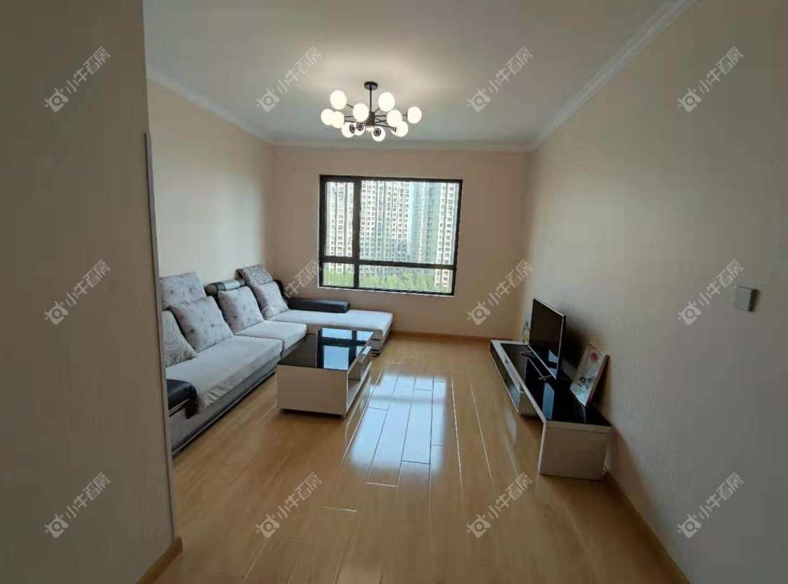 常州金新鼎邦在租房源_小牛看房