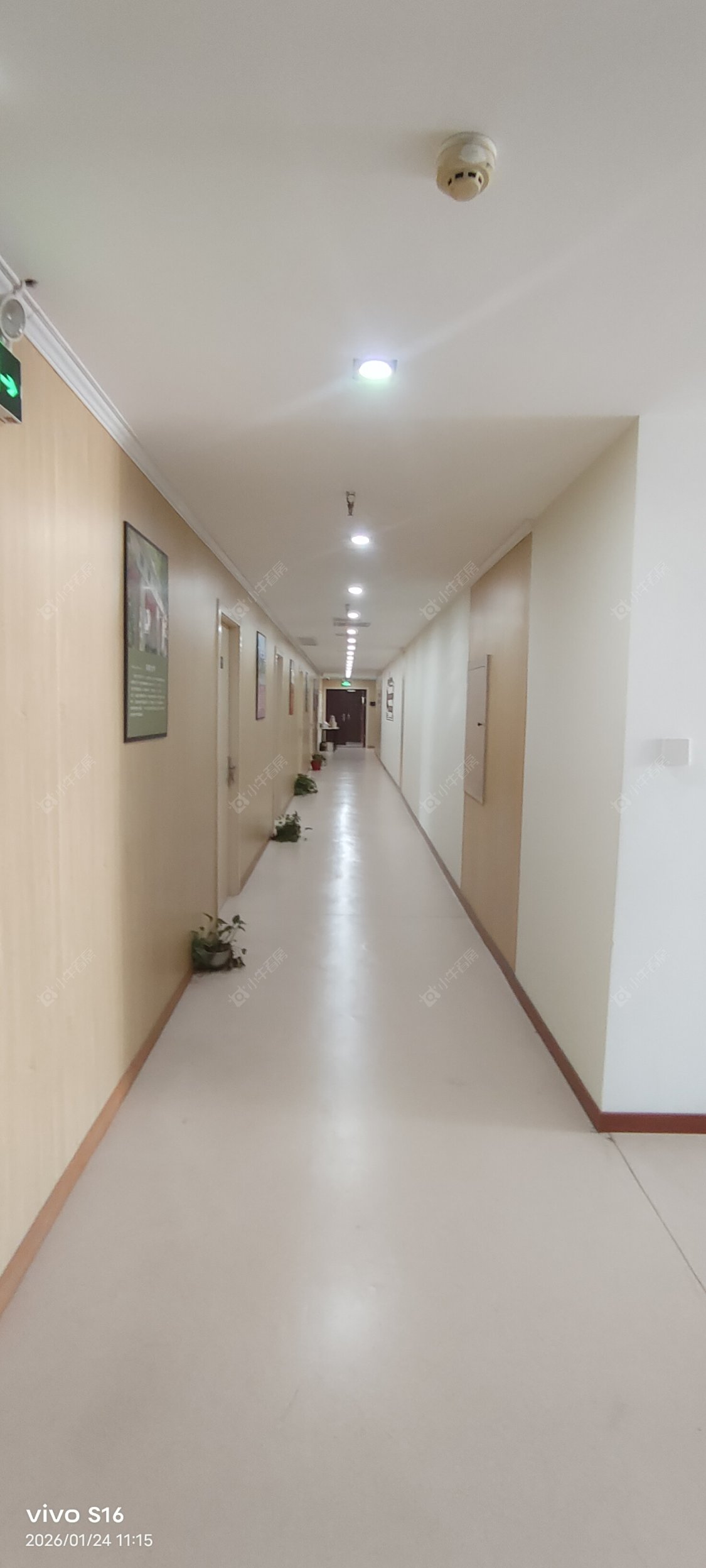 常州太湖中路在租房源_小牛看房