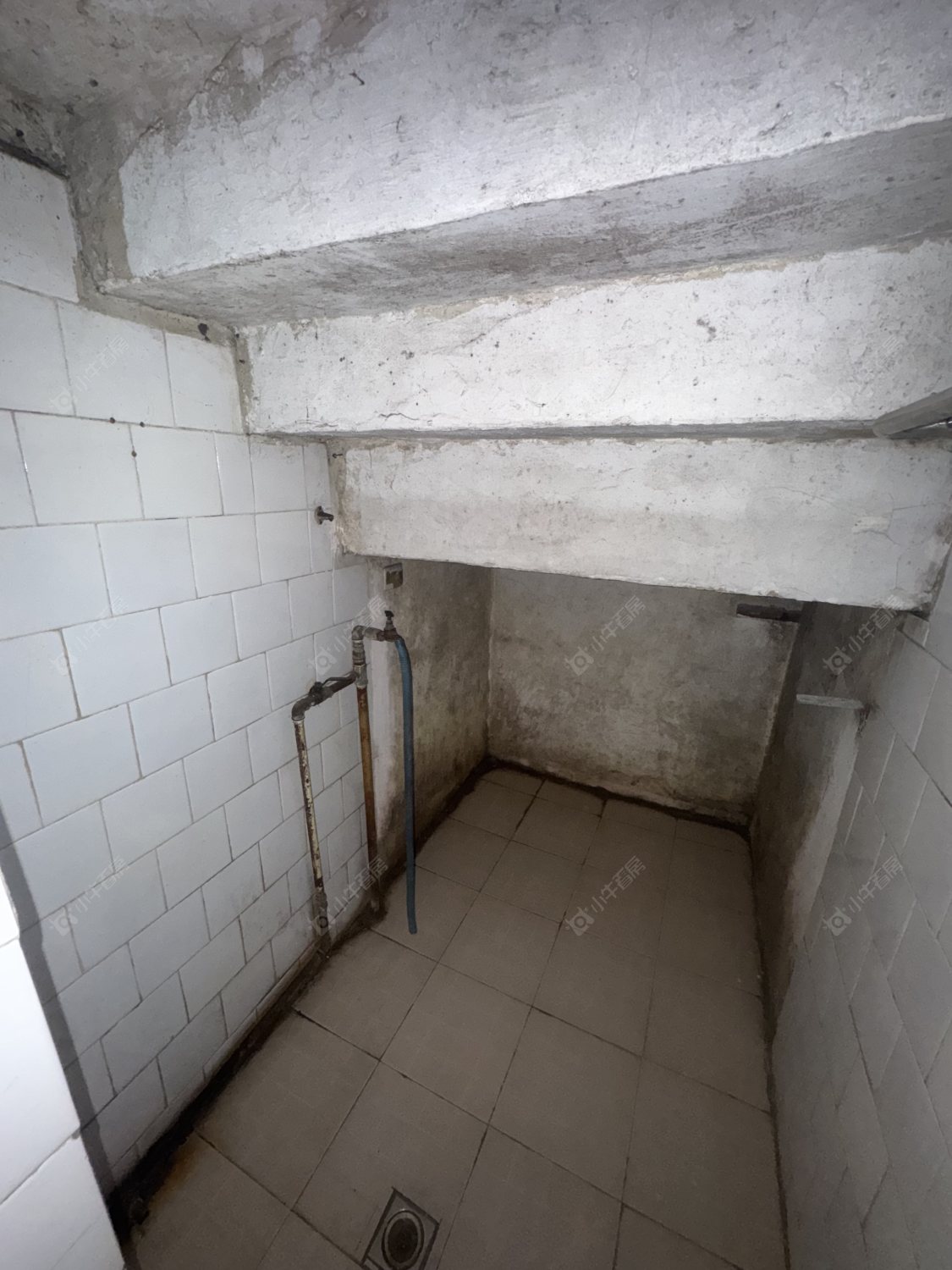 常州泡桐北路在租房源_小牛看房