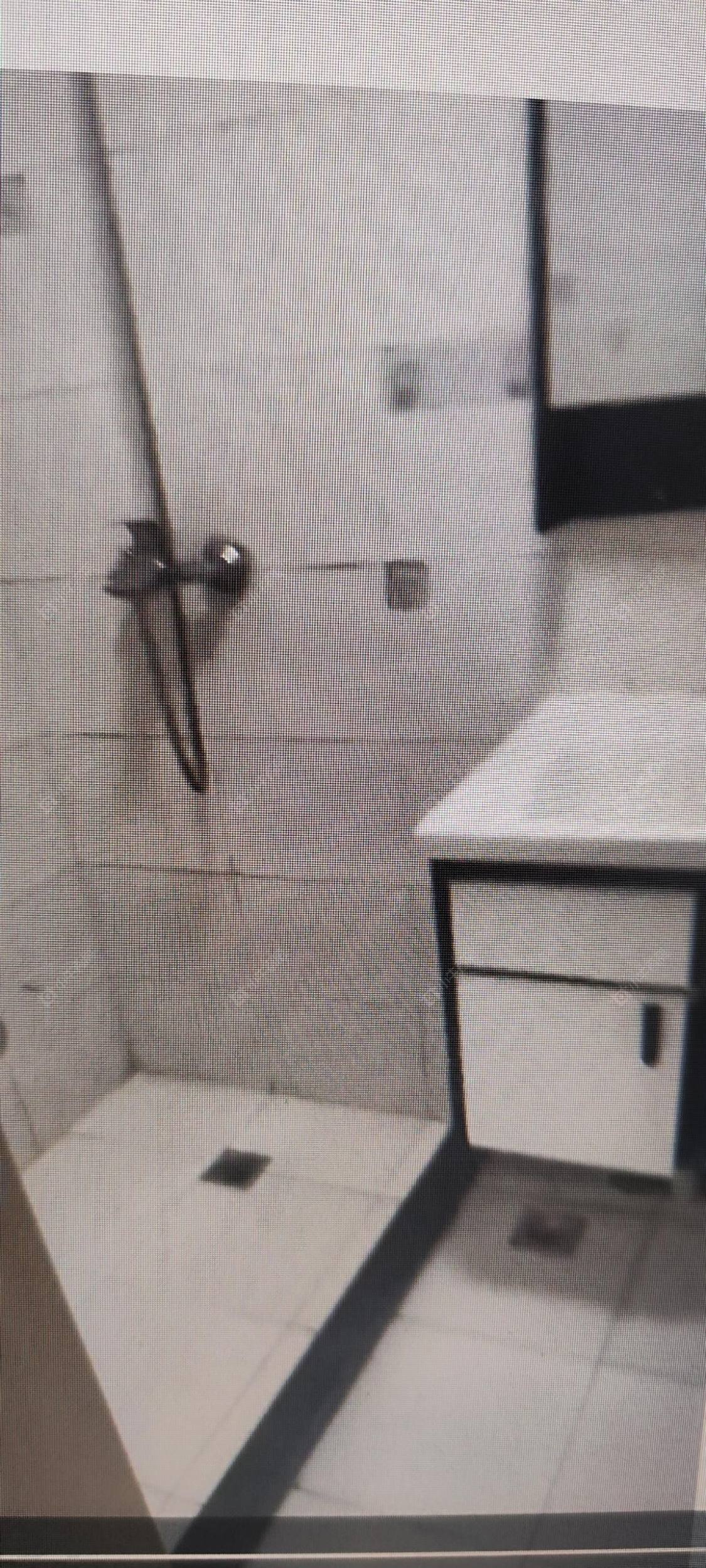 太湖明珠苑南苑房源室内图 常州太湖明珠苑南苑在租房源室内图_小牛看房