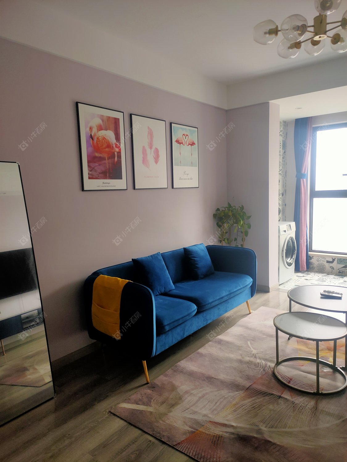 常州世茂香槟湖五期在租房源_小牛看房