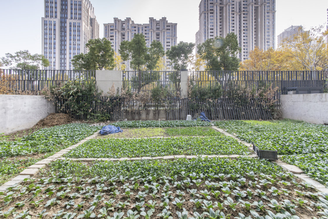 常州路劲铂樾在售二手房源室内图_小牛看房
