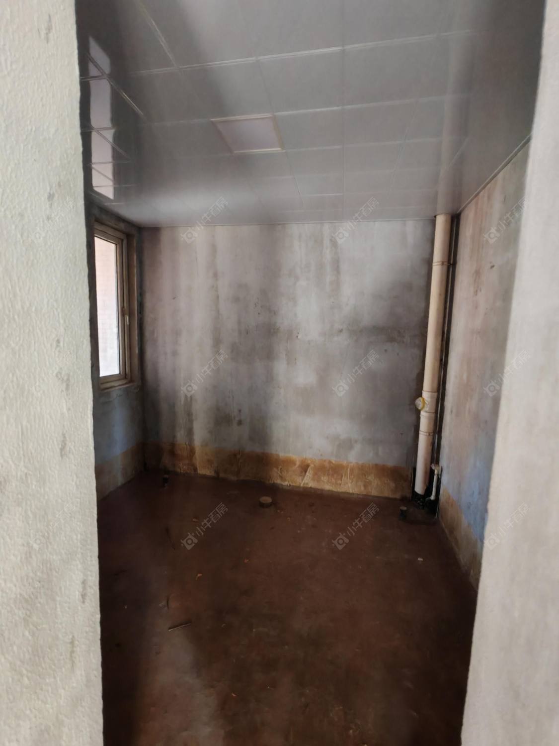 常州美林湖花园一区别墅在租房源室内图_小牛看房