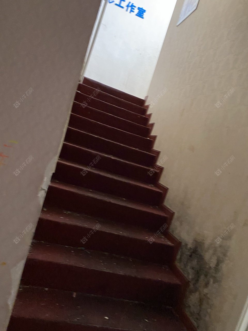 常州新城春天里在租房源室内图_小牛看房