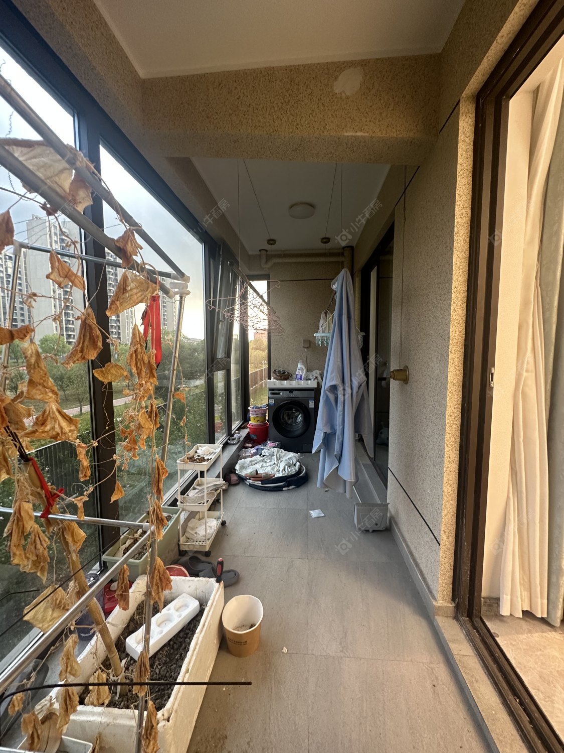 常州碧桂园碧玥和鸣在租房源_小牛看房