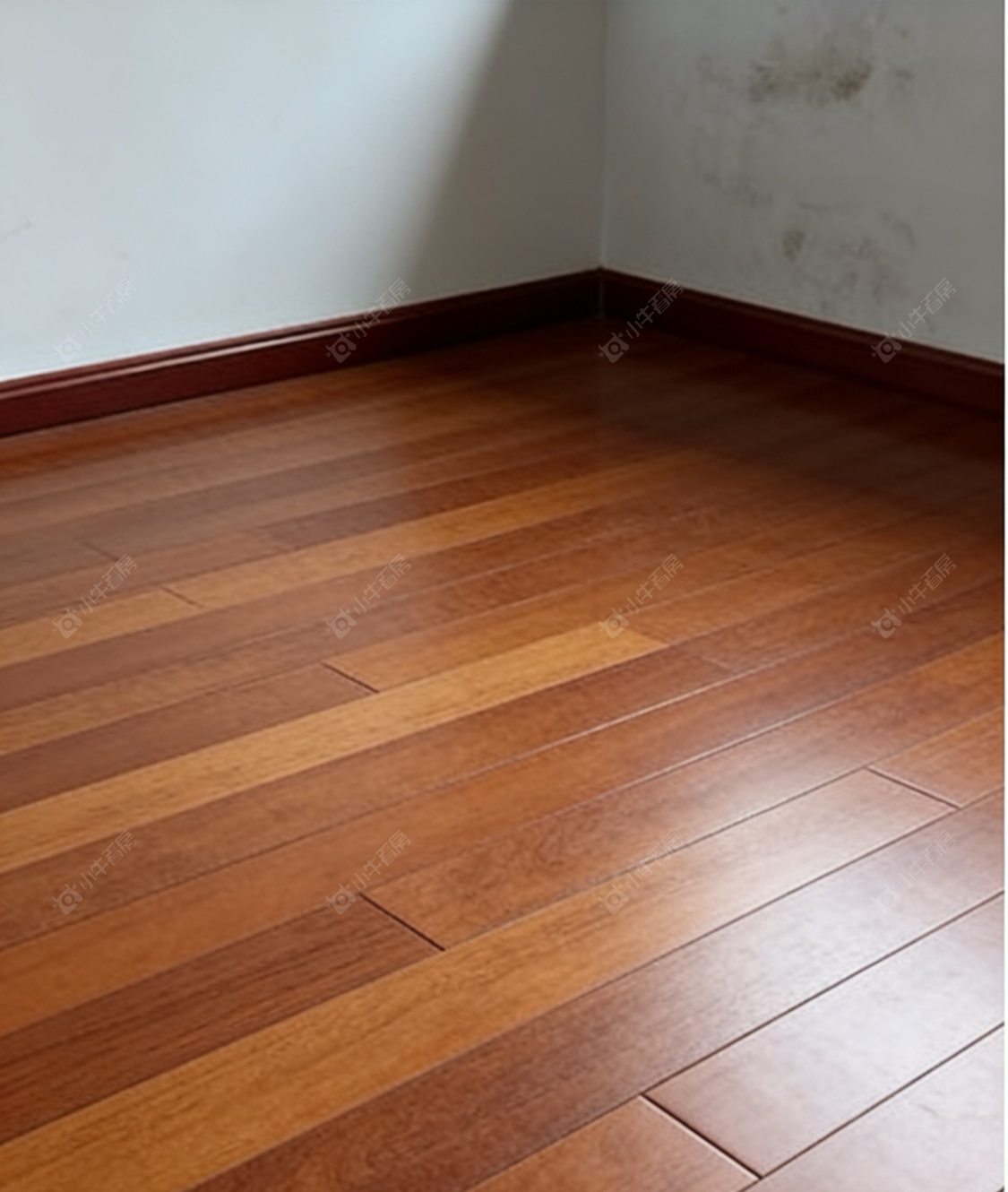 常州九洲花园一期在租房源_小牛看房