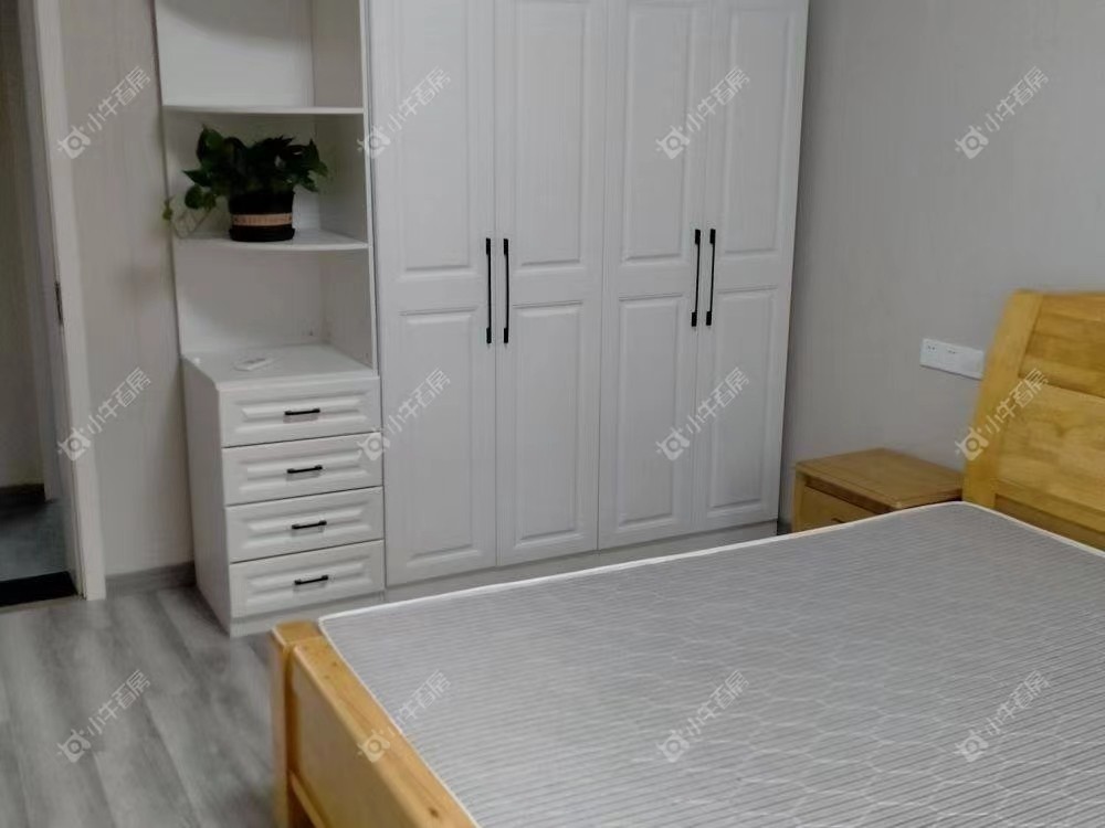 常州邮电路租房_小牛看房