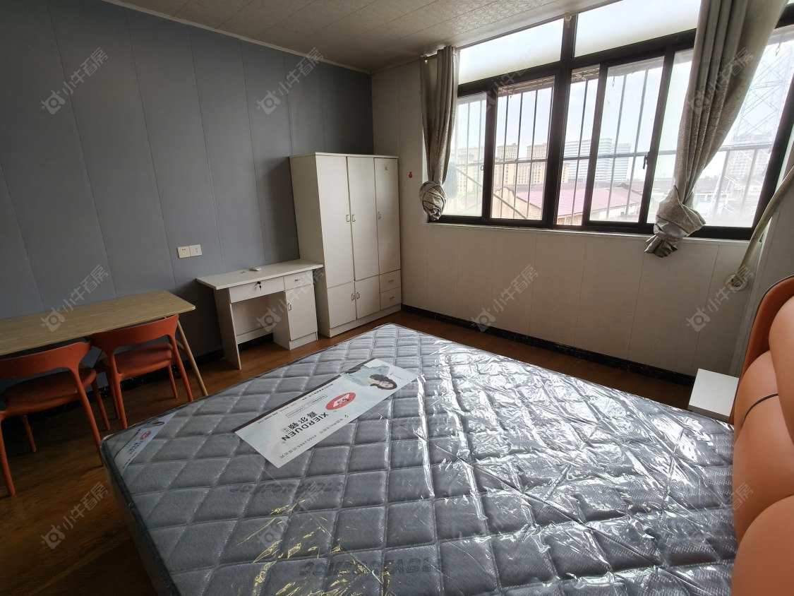 常州卢家巷卢政街在租房源_小牛看房