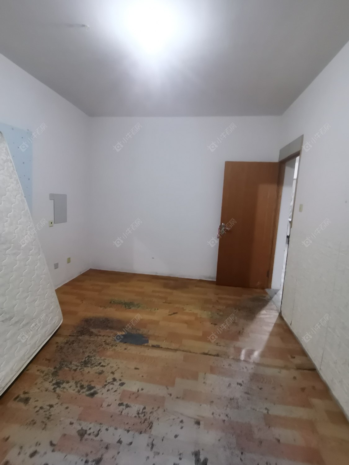 常州滨江明珠城西区在租房源_小牛看房