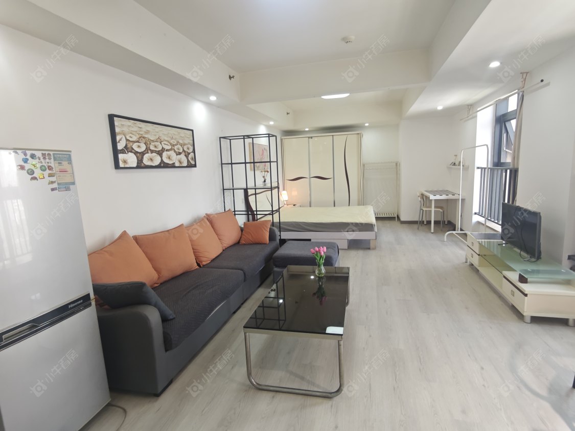 常州莱蒙双子星座公寓在租房源室内图_小牛看房