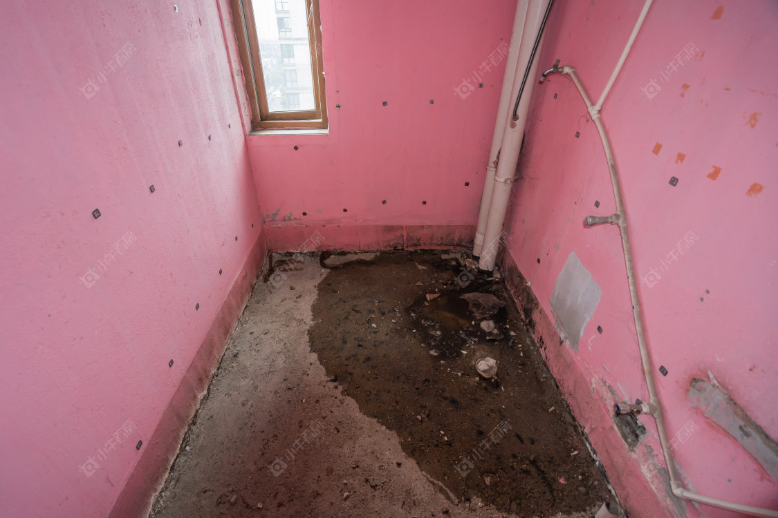 常州九洲新世界花苑在售二手房源室内图_小牛看房