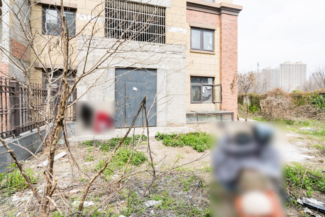 常州高成天鹅湖别墅区在售二手房源小区图_小牛看房