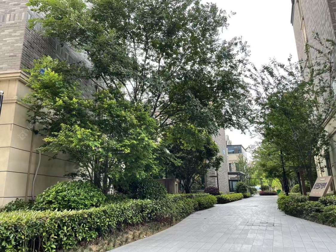 常州弘阳天下锦别墅区租房_弘阳天下锦别墅区2室1厅房源出租