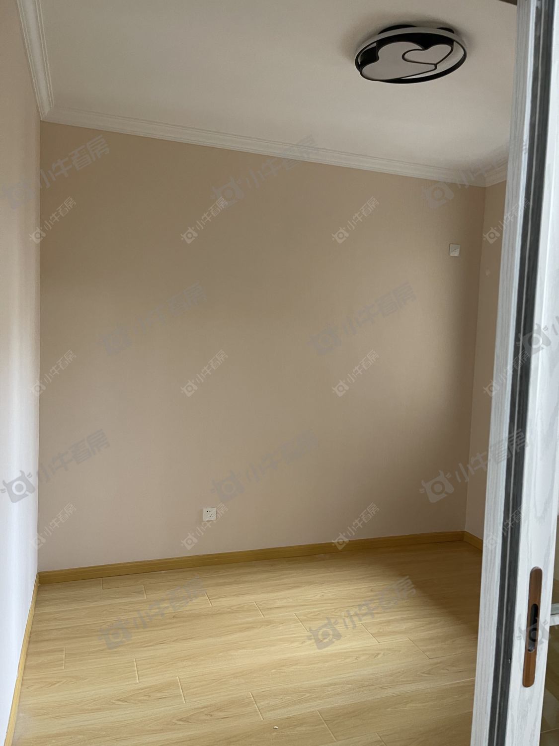 常州金新鼎邦在租房源_小牛看房