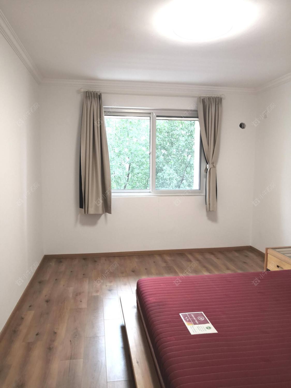 常州九洲新世界花苑在租房源室内图_小牛看房