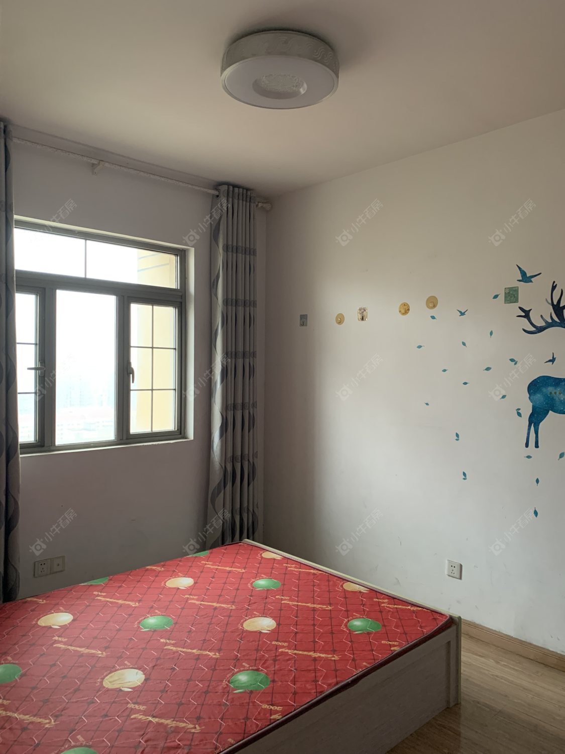 常州和平国际在租房源_小牛看房