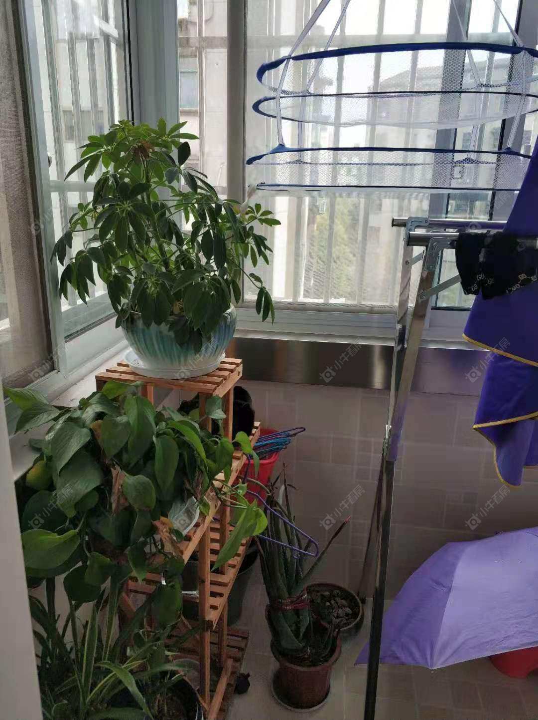 常州朝阳三村在租房源_小牛看房