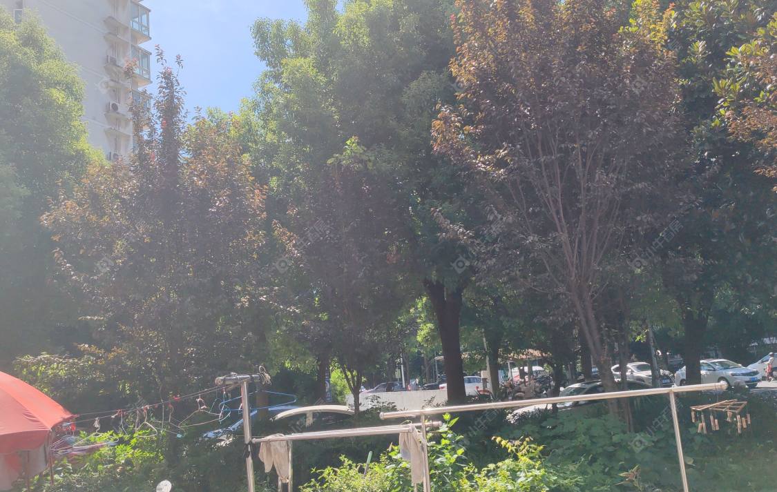 常州运河花园租房_运河花园-房源出租