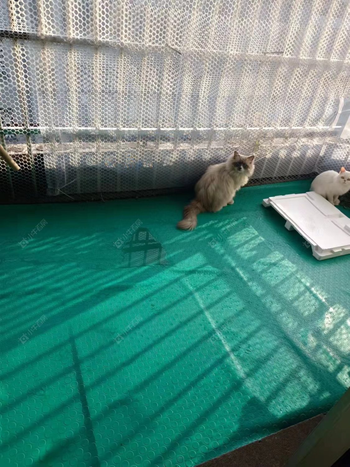 常州兰陵公寓租房_兰陵公寓2室2厅房源出租