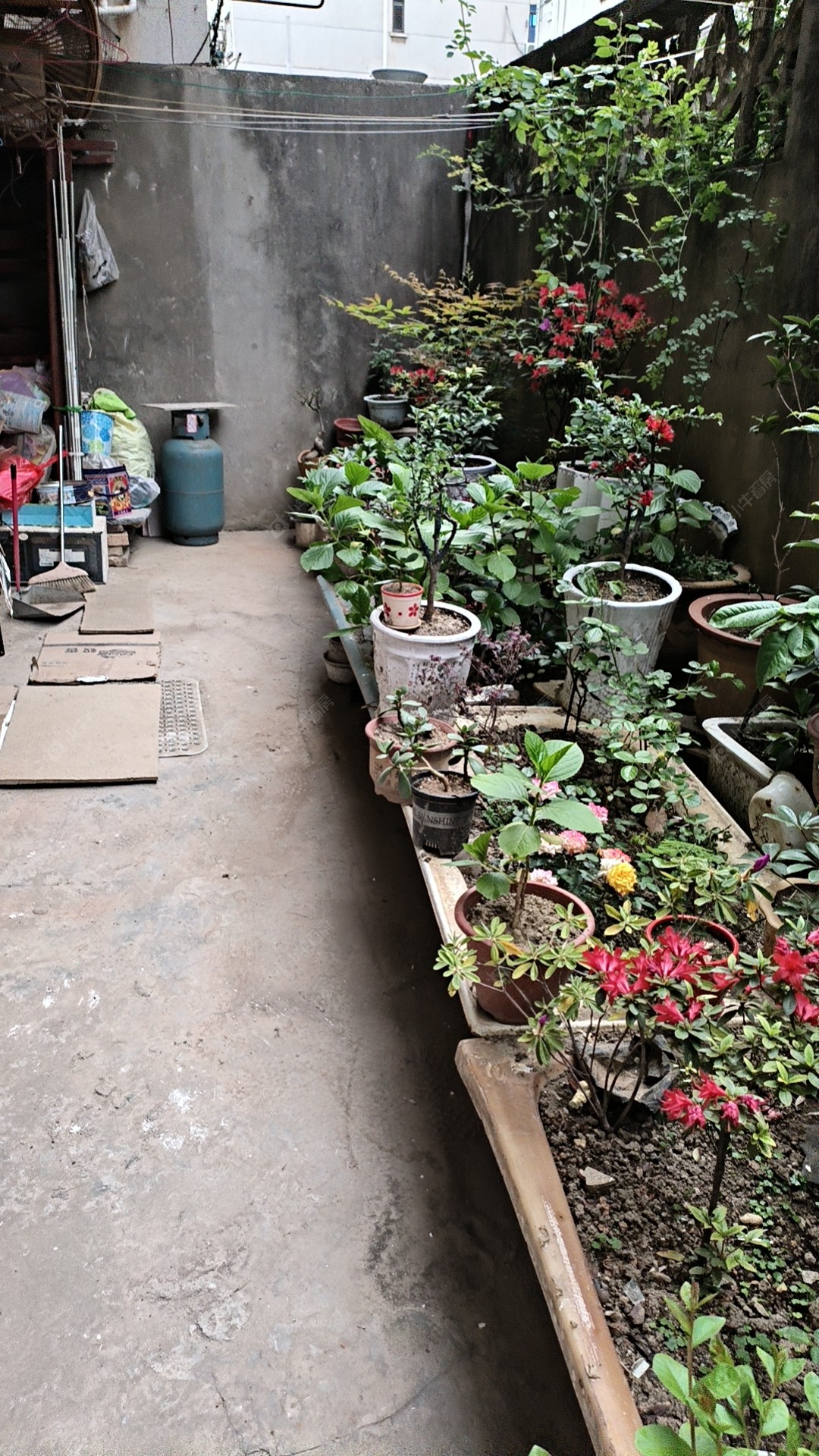 常州花东新村租房房源封面图