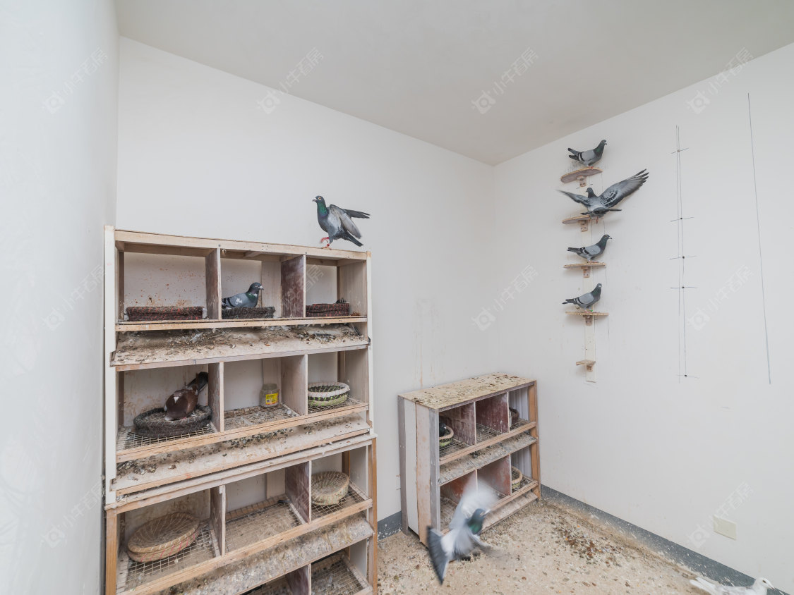 常州福成上城花园在售二手房源室内图_小牛看房