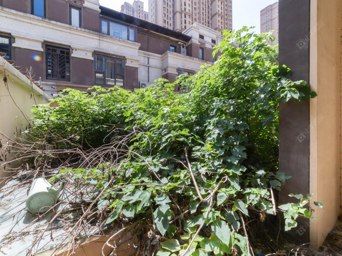 常州新城香溢澜桥一期在售二手房源室内图_小牛看房