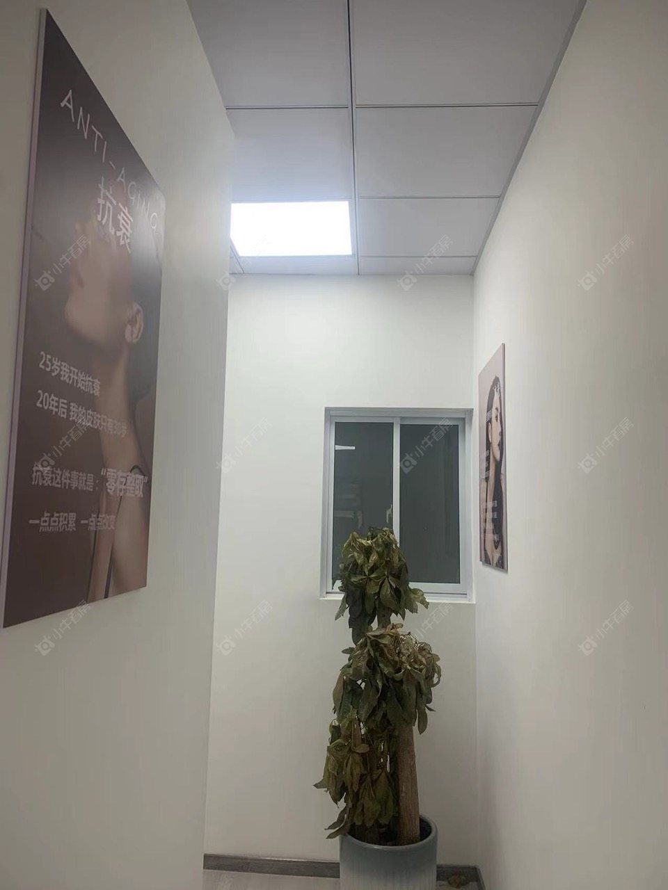 常州美的国宾府悦然寓租房_美的国宾府悦然寓-房源出租