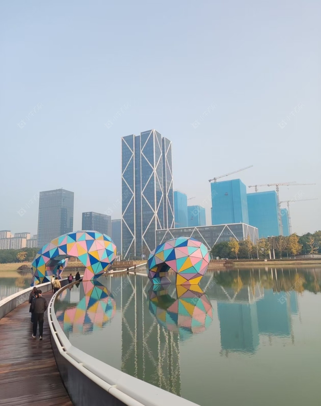 常州碧桂园金科光明府在租房源室内图_小牛看房