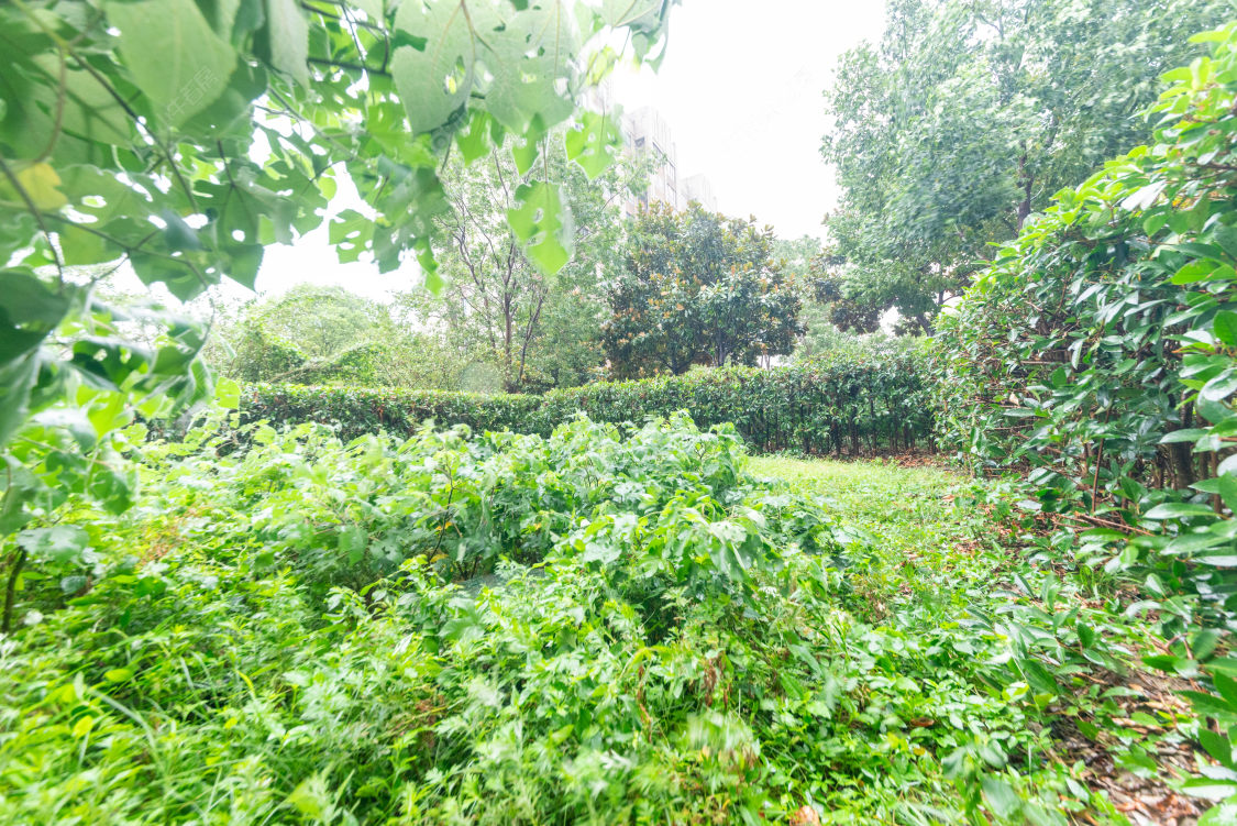 常州中奥珑郡在售二手房源室内图_小牛看房