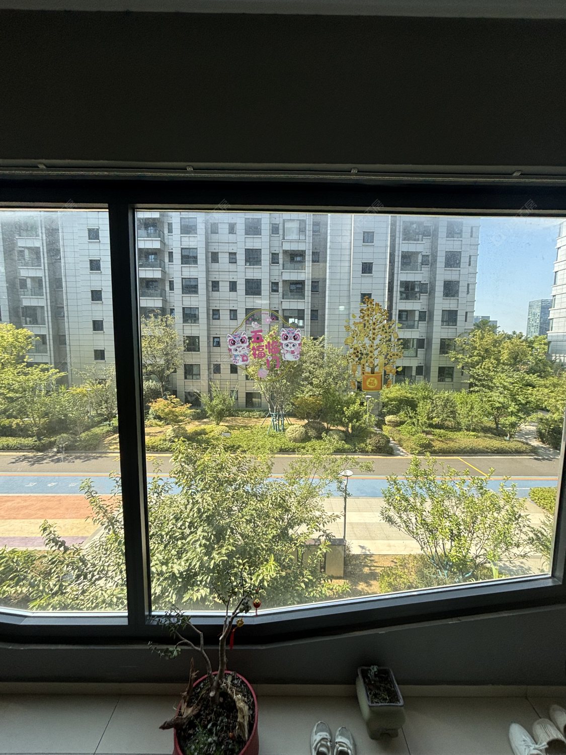 常州蓝光晶曜租房_蓝光晶曜3室2厅房源出租