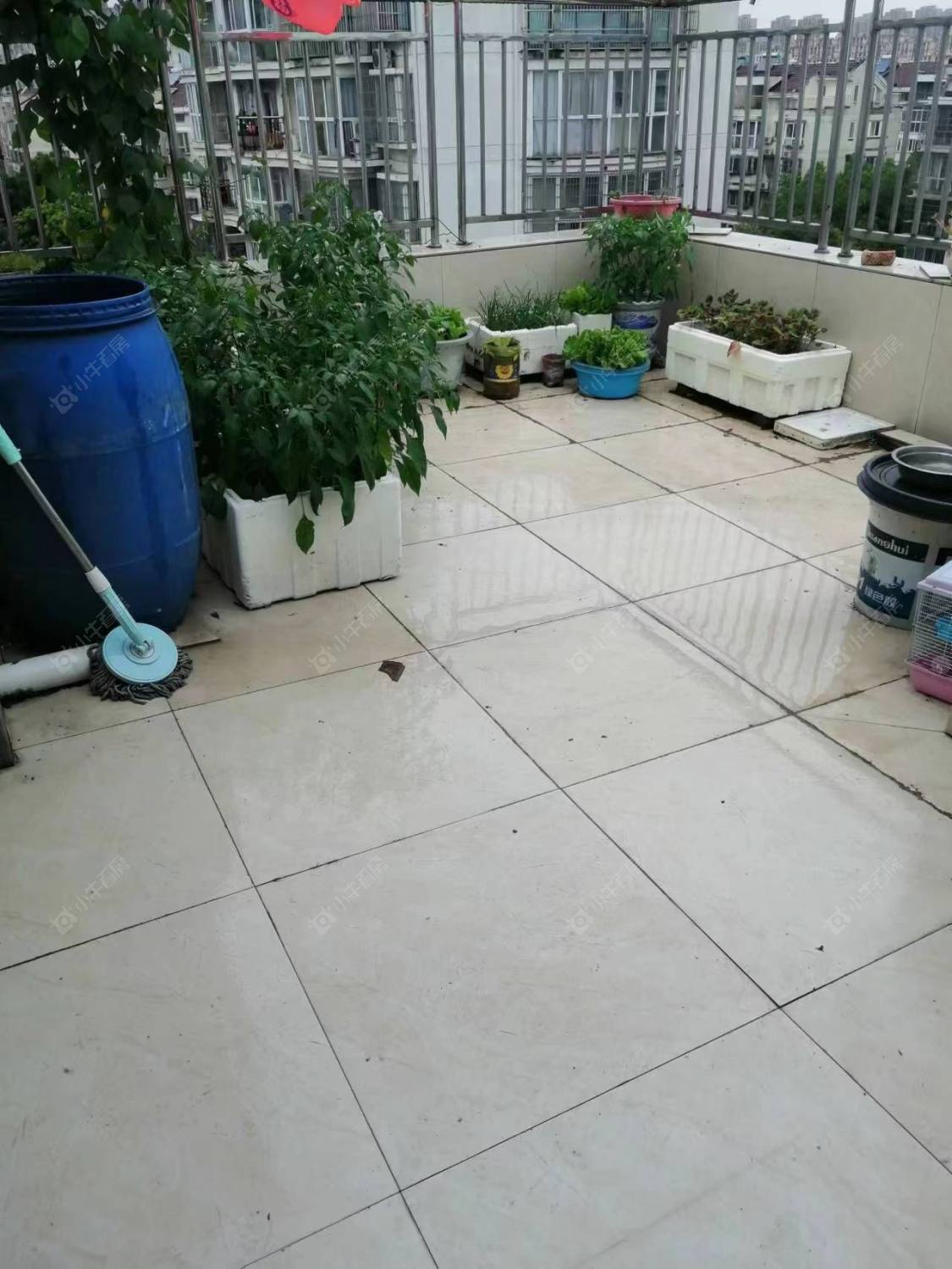 常州腾龙苑东区在租房源室内图_小牛看房