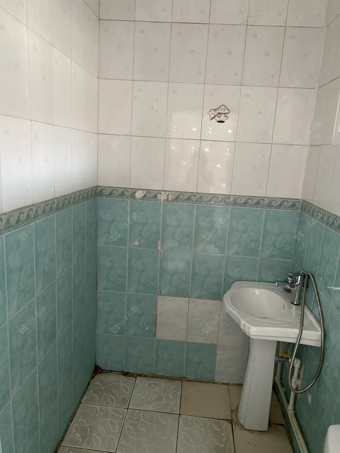 常州元丰巷1室1厅1卫出租_小牛看房