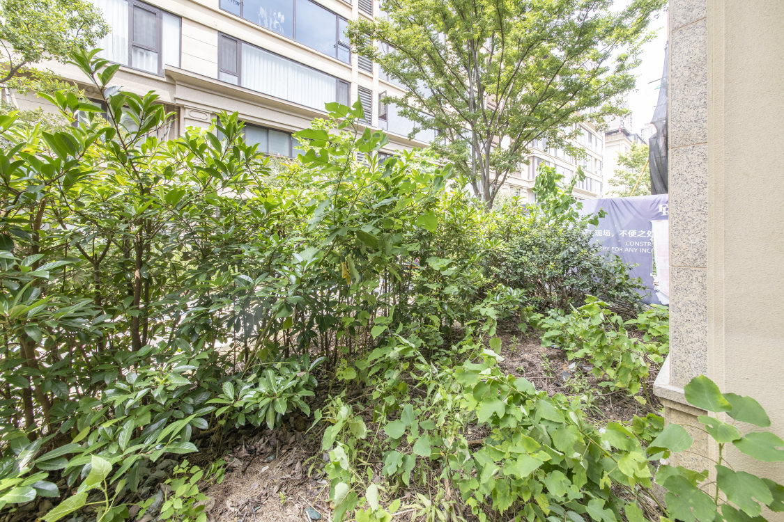 中梁首府壹号房源室内图 常州中梁首府壹号在售二手房源室内图_小牛看房