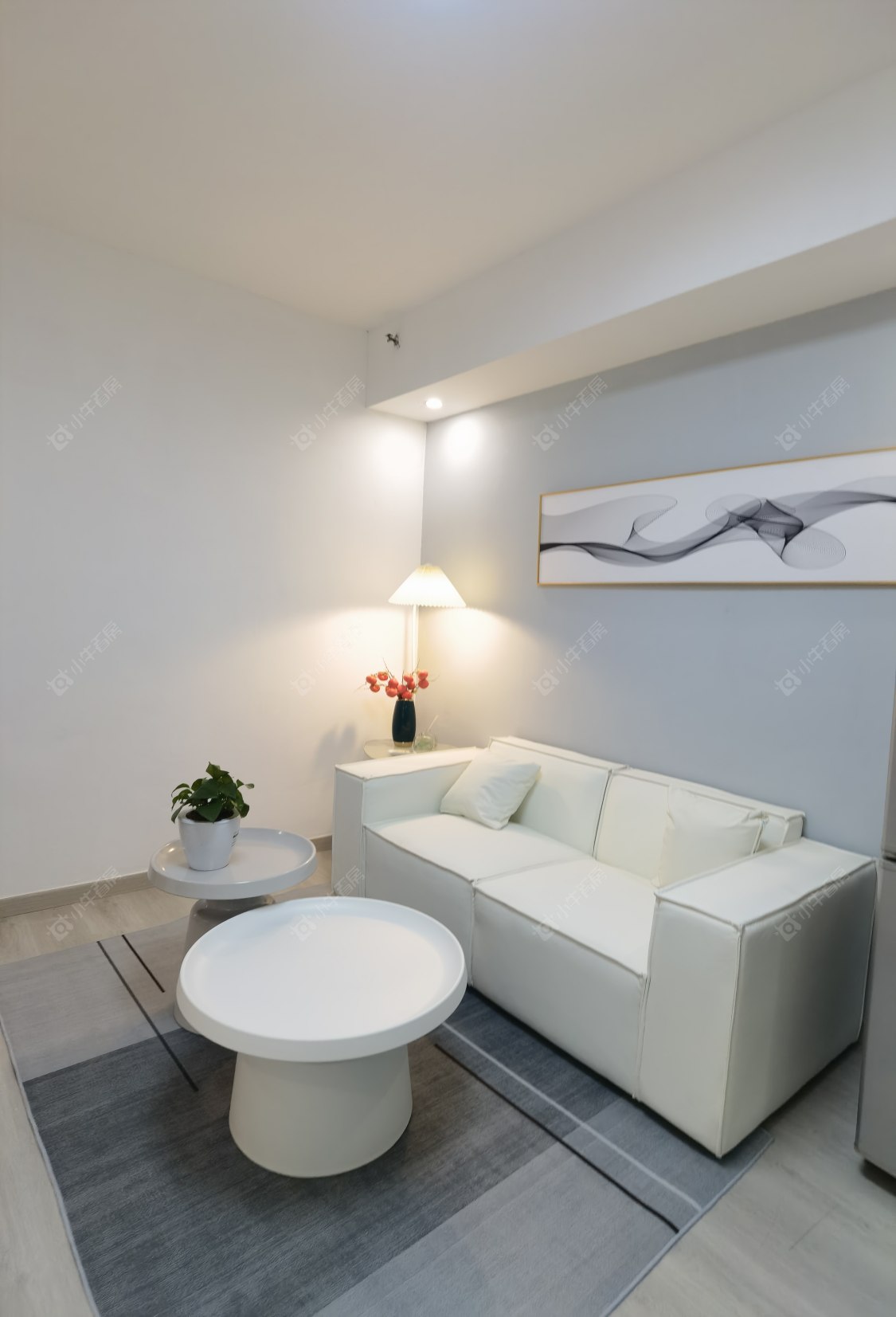 常州莱蒙双子星座公寓在租房源室内图_小牛看房