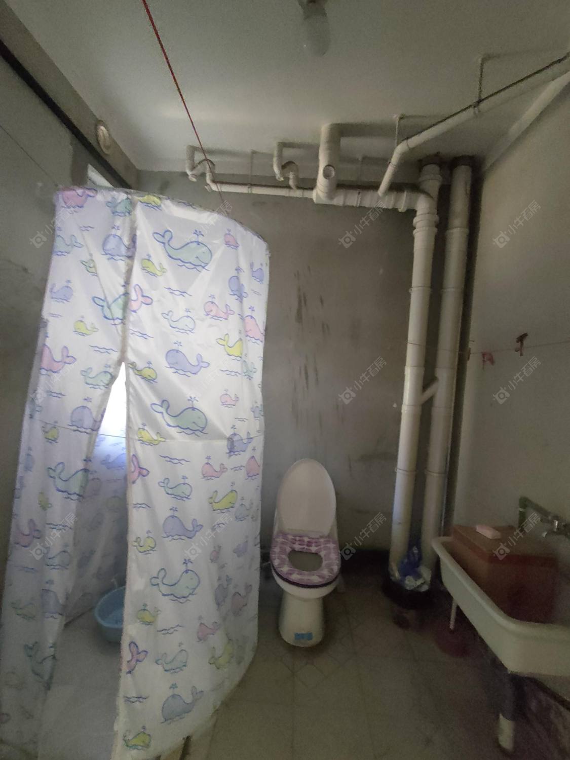 常州新景花苑一期在租房源户型图_小牛看房