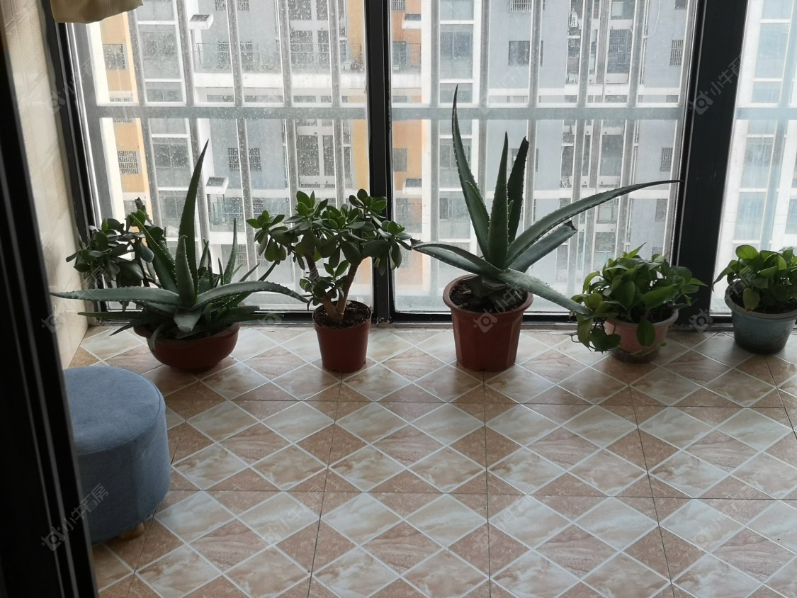 常州怡枫苑在租房源_小牛看房
