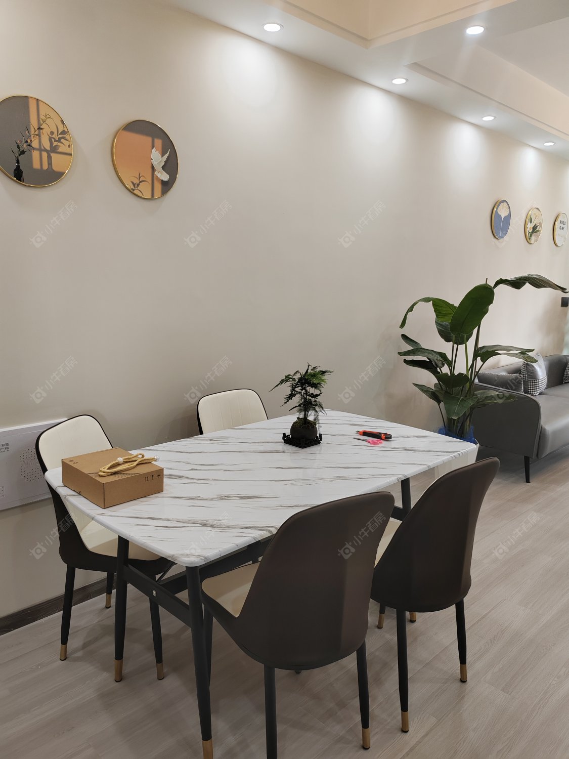 常州五星星韵城在租房源_小牛看房